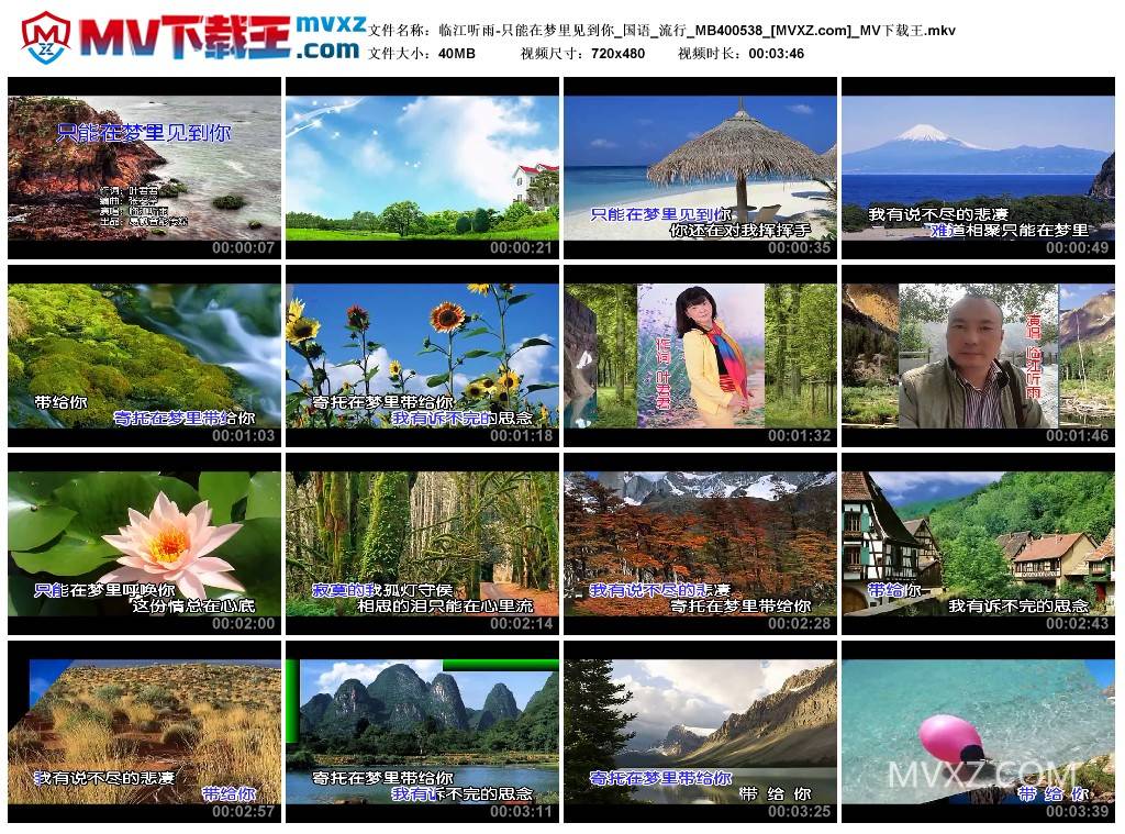 临江听雨-只能在梦里见到你_国语_流行_MB400538